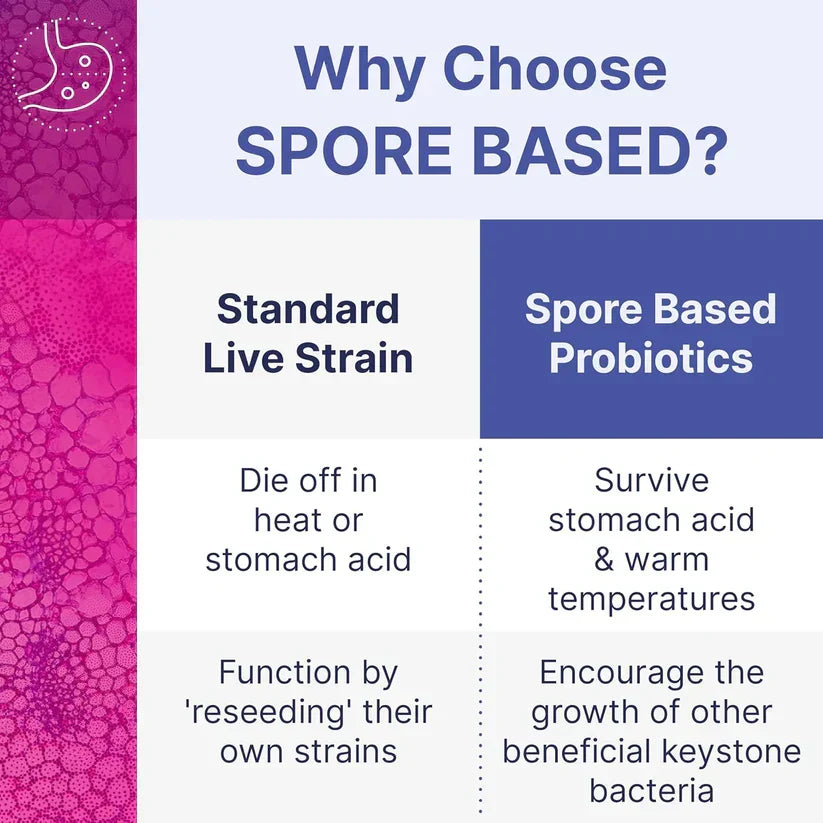 MegaSporeBiotic Probiotics for Women & Men