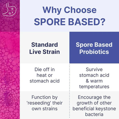 MegaSporeBiotic Probiotics for Women & Men